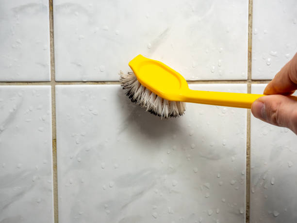 Best Emergency Mold Removal  in Salem, AR
