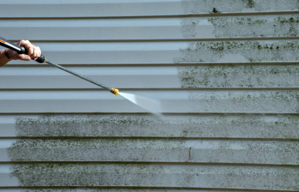 Mold Removal Process in Salem, AR