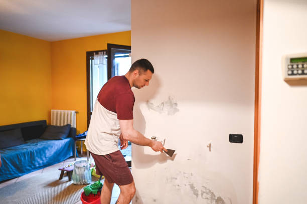Best Local Mold Removal Service  in Salem, AR